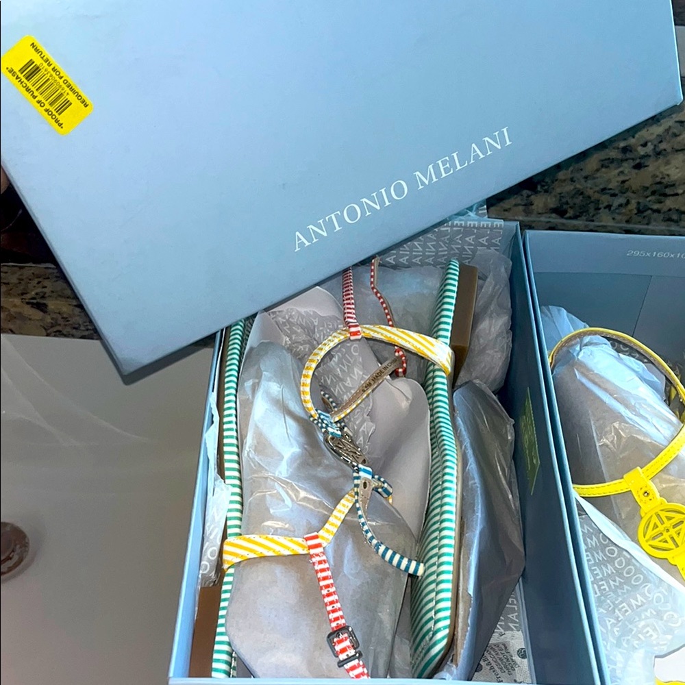 Antonio Melani Striped Sandals Set